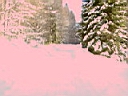 gal/sinaia/poze Ady_1/TN_S2400003.JPG